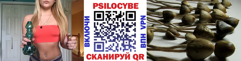 Галлюциногенные грибы GOLDEN TEACHER  Беслан 